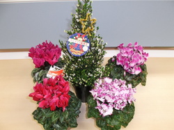 DSCF2120.JPG