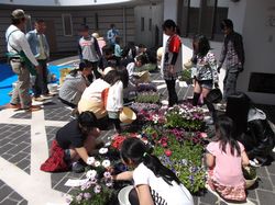DSCF2803.JPG