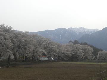 さねはら１１.JPG