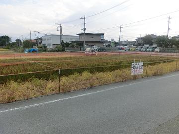 23.10.7-5.jpg