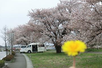 24.4.13-1.JPG