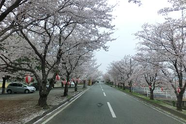 24.4.13-4.JPG
