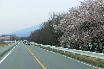 24.4.13-5.JPG