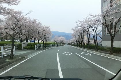 24.4.13-6.JPG