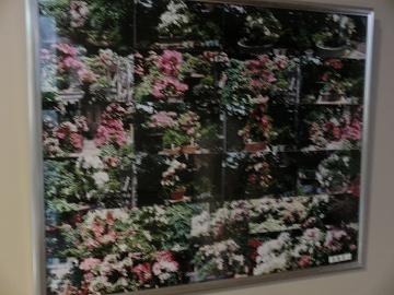 25.7.10-5.JPG