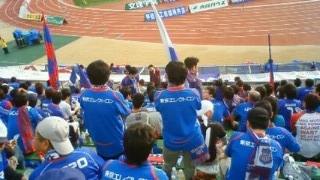 201003131655000.JPG