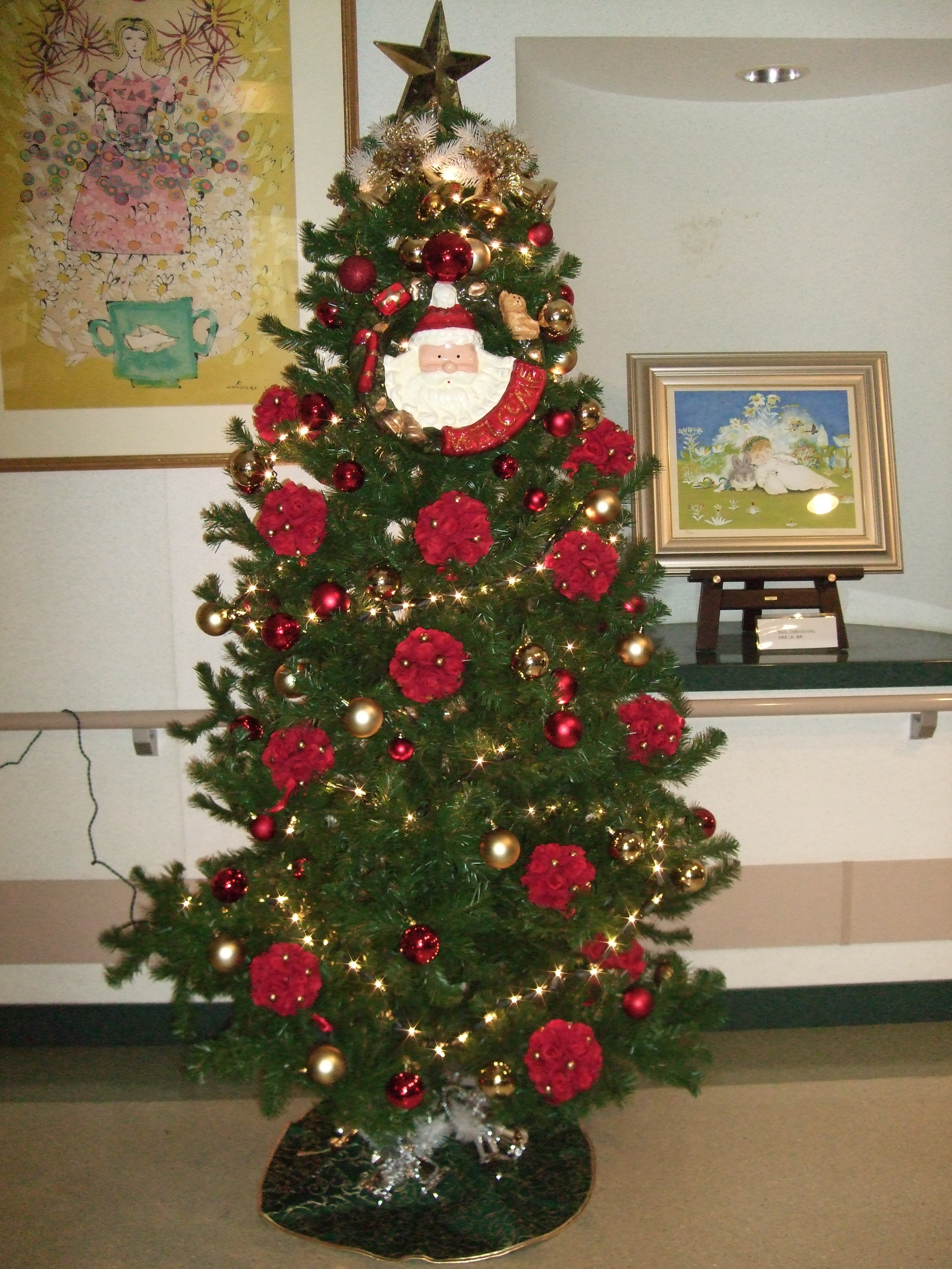 DSCF0238.JPG