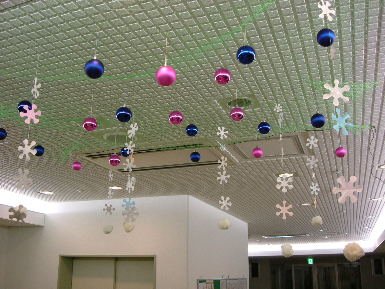 DSCF0617.JPG