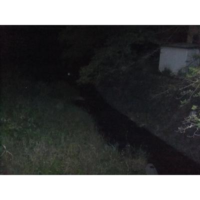 DSCF2137_small.JPG