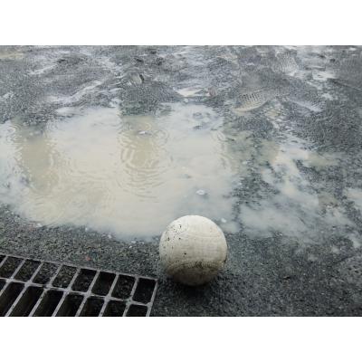 DSCF2393_small.JPG