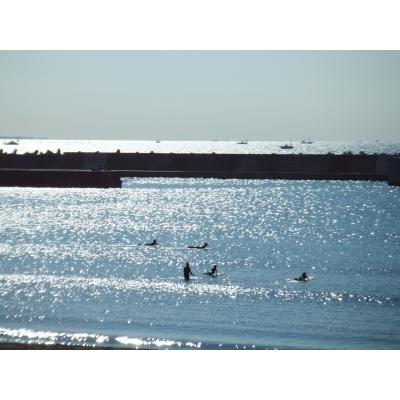 DSCF2784_small.JPG