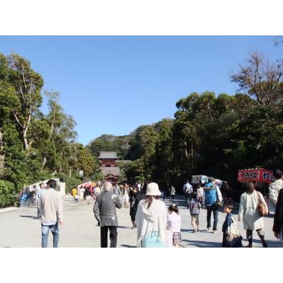 DSCF2803_small.JPG