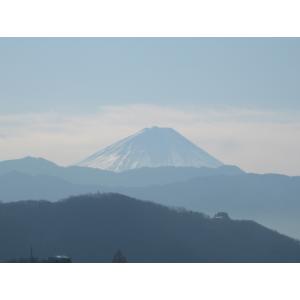 IMG_0167_small.JPG
