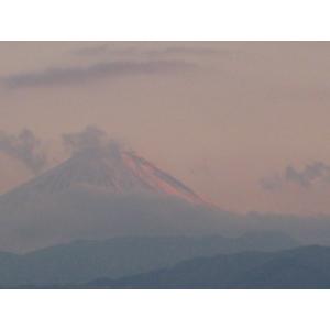 IMG_0175_small.JPG