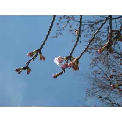 IMG_6646_small.JPG