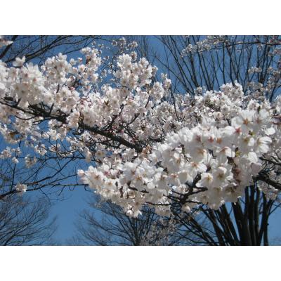 IMG_6676_small.JPG