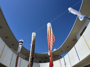 IMG_5890