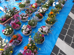 DSCF2822.JPG