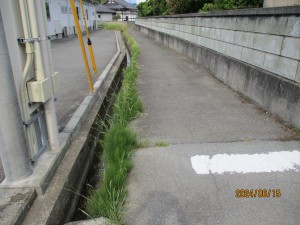 IMG_0051