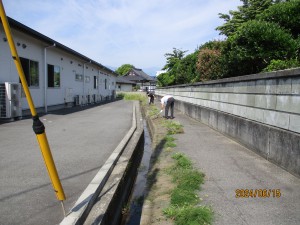 IMG_0055