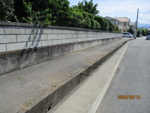 IMG_0057