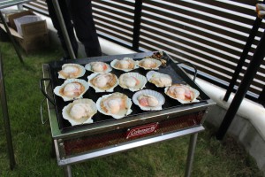 IMG_9210