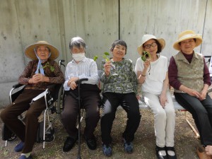 芋植え②