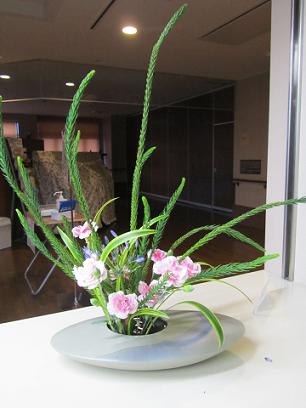 2011.6.30.JPG