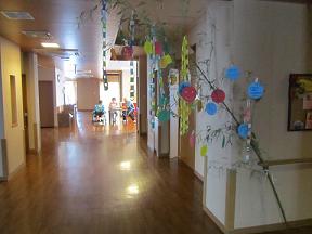2011.7.7.g.JPG