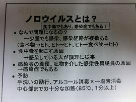 23.11.8-2.JPG