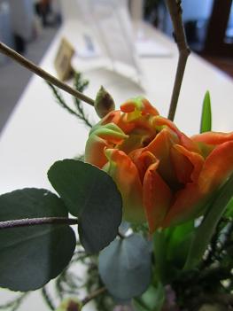 24.2.17-3.JPG
