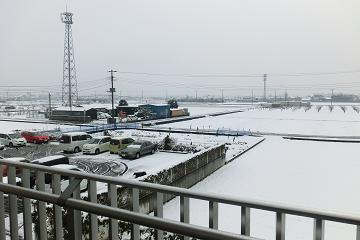 24.2.29-1.jpg