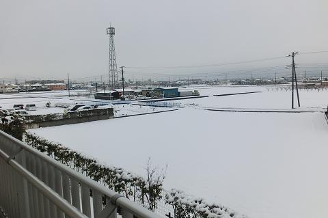 25.1.14-1.JPG
