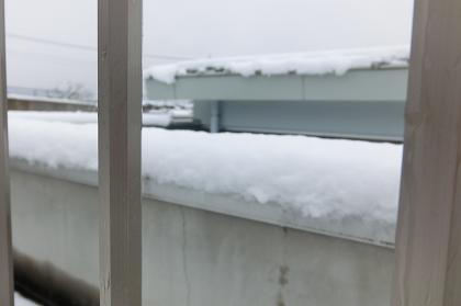 25.1.14-3.JPG