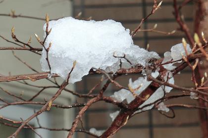 25.1.14-4.JPG