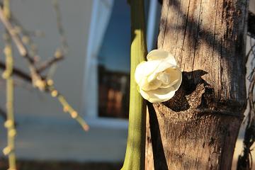 25.2.13-1.JPG