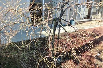 25.2.13-2.JPG