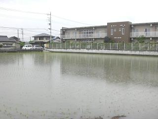 CIMG5506.JPG