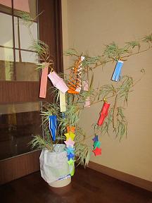 IMG_0116.JPG