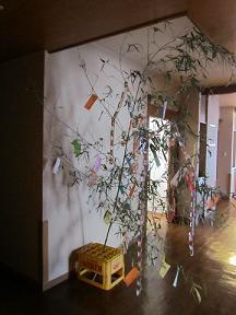 IMG_0124.JPG