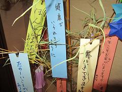 IMG_0133.JPG