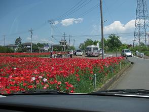 IMG_0412.JPG