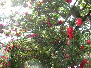 IMG_0421.JPG