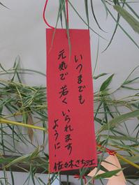 IMG_0463.JPG