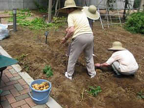 IMG_0494.JPG